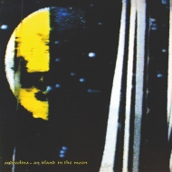 An Island In The Moon