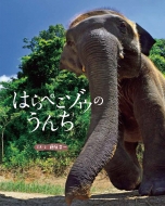 �͂�؂��]�E�̂���