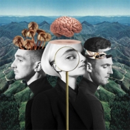 Clean Bandit/What Is Love? (Dled)