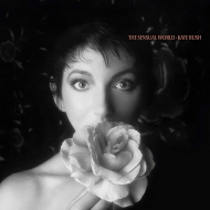 ケイトブッシュ　紙ジャケ8作品セット/DU特典ボックス付 Amazon.co.jp: KATE BUSH BOX: ミュージック