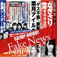 CANDY GO!GO!/Fake News (A)