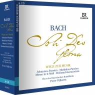 バッハ（1685-1750）/Wege Zur Musik： Dijkstra / Concerto Koln Bavarian Radio Choetc