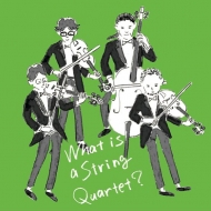 ڻͽնʽ/My Heart SqҤޡ What Is A String Qartet?