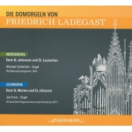 Organ Classical/Friedrich Ladegast Dom Organ Schonheit Jan Ernst(Organ) Etc