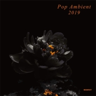 Various/Pop Ambient 2019