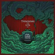 Tribulations And Life Of A Cat Called Fritz