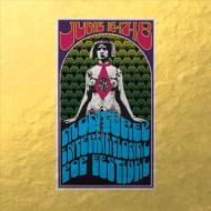Iconic Performances From The Monterey International Pop Festival
