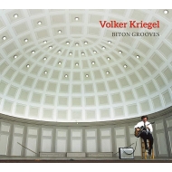 Volker Kriegel/Biton Grooves
