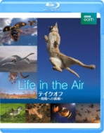Life In The Air