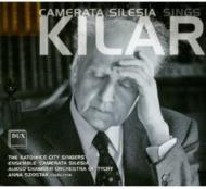 Choral Works: Szostak / Aukso Co Camerata Silesia Katowice City Singers