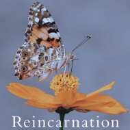 Reincarnation (B)