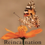 Reincarnation (C)