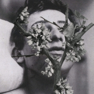 ヘヴィーメタル｜ハード・ロック/ヘヴィ・メタル｜ヘヴィーメタル