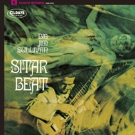 Sitar Beat