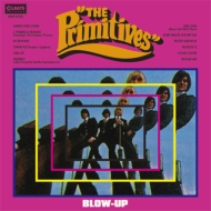 Primitives/Blow-up (Pps)