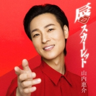 �O�X�J�[���b�g (�Ԕ�)���J�Z�b�g��