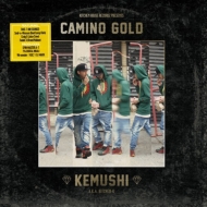 KITCHEN K/Camino Gold