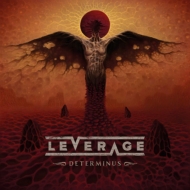 Leverage/Determinus