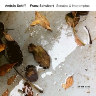 塼٥ȡ1797-1828/Piano Sonata 19 20 Impromptus D 899 3 Klavierstucke A. schiff(Fp) (2016) (Uhq