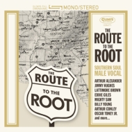 Various/Route To The Root  Southern Soul 󥬡 (Pps)