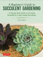 Taku Furuya/Beginner's Guide To Succulent Gardening