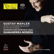 Symphony No.2 : Gianandrea Noseda / Teatro Regio Torino, Muhlemann, Chiuri (Hybrid)
