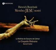 ブクステフーデ（1637-1707）/Membra Jesu Nostri： Haller / La Chapelle Rhenane La Maitrise De Garcons De Colmar