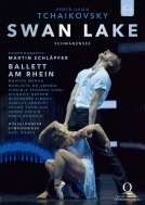 バレエ＆ダンス/Swan Lake(Tchaikovsky)： Menha Do Amaral Vidal Nzerem Ballett Am Rhein