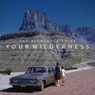 Your Wilderness