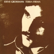 Steve Grossman/Terra Firma (Rmt)(Ltd)