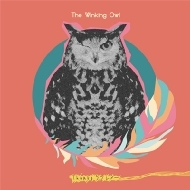 The Winking Owl/Thanks֥쥿