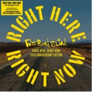 Right Here, Right Now Remixesy2019 RECORD STORE DAY Ձz(12C`VOR[hj