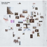 NOT WONK/Down The Valley