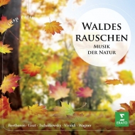 ԥ졼/Waldesrauschen-the Music Of Nature