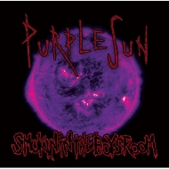 SMOKIN'IN THE BOYS ROOM/Purple Sun