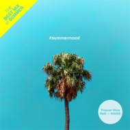 Various/#summermood - The Best Mix Of Tropical Vibes R  B  House