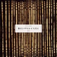 Steve Moore/Beloved Exile