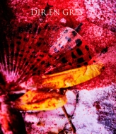 DIR EN GREY/From Depression To (Mode Of 16-17)