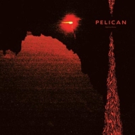 Pelican/Nighttime Stories