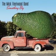 Mick Fleetwood/Something Big