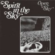 Open Sky/Spirit In The Sky (Rmt)(Ltd)