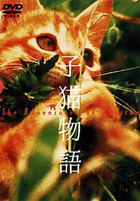 子猫物語('86子猫物語製作委員会)DVD