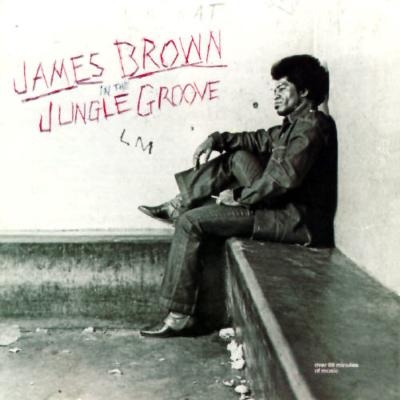James Brown レコード In the Jungle Groove In The Jungle Groove : James Brown | HMV&BOOKS online - 829624