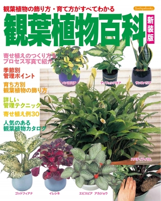 観葉植物百科 観葉植物の飾り方 育て方がすべてわかる ブティック社 Hmv Books Online