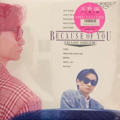 中古:盤質S】 Because Of You : 天野滋 | HMV&BOOKS online - 28HB7012