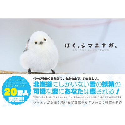シーグラスアート♡冬のレアカクテル♡ 南天 雪うさぎ