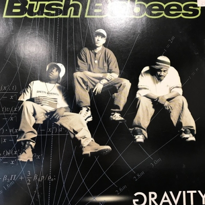 Bush Babees / GRAVITY 新品シールド 2LP & 7インチ 中古:盤質B】 Gravity : Da Bush Babees | HMV&BOOKS online - 9362464461