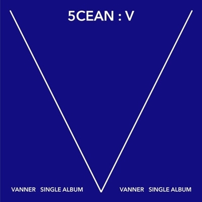 24,700円VANNER 1st Album: V