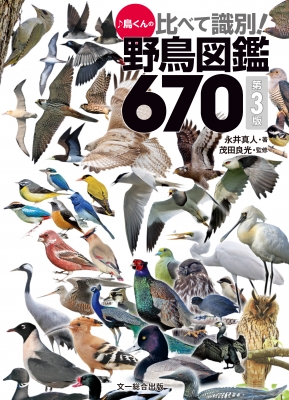 鳥くんの比べて識別 野鳥図鑑670 永井真人 鳥くん Hmv Books Online