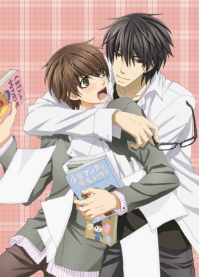 Sekaiichi Hatsukoi Blu-Ray Box Compact Edition : Sekaiichi 